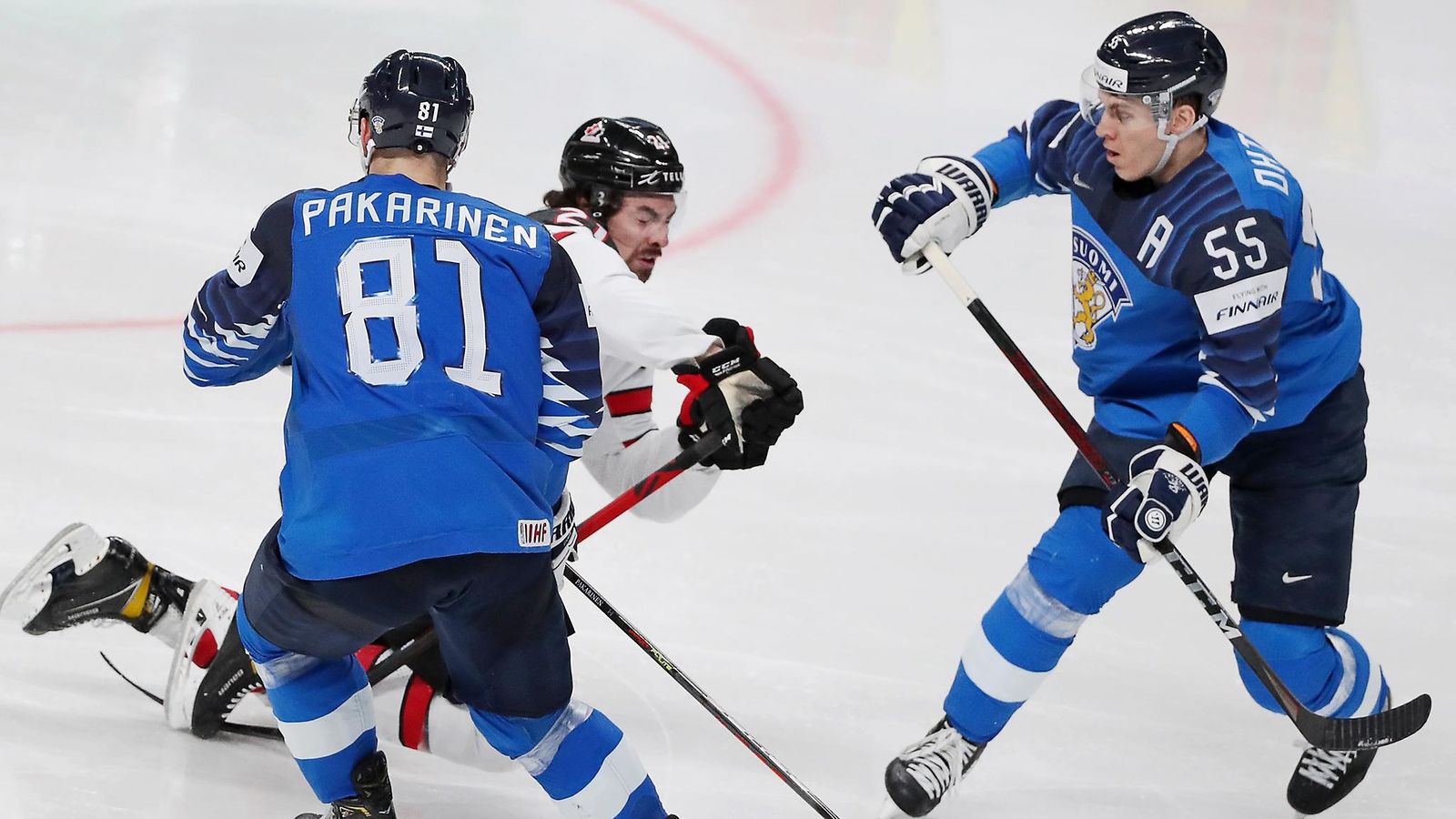 Leijonat Kanada