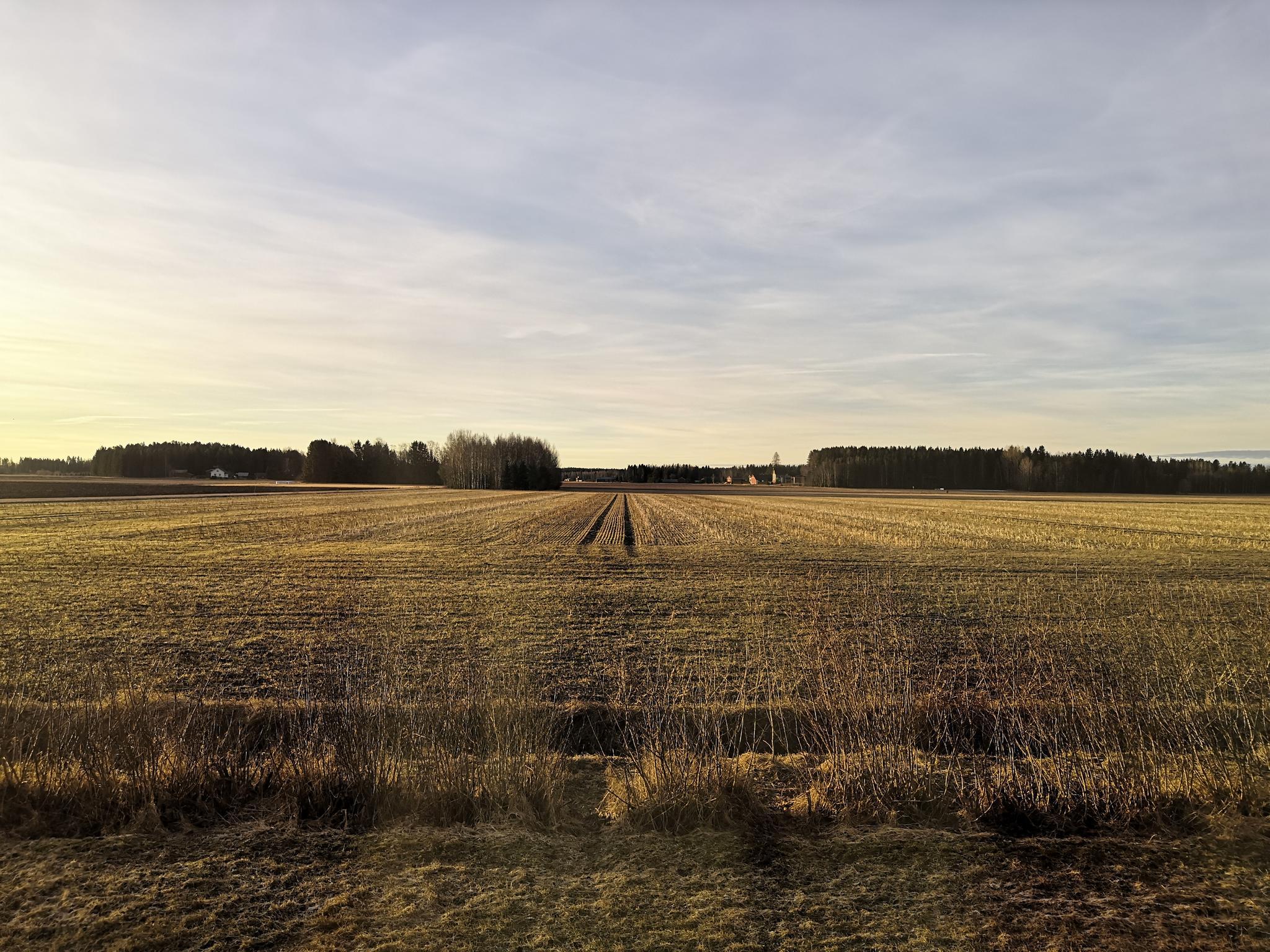 Peltojen lumet olivat jo sulaneet Pöytyällä 20.3.2025.